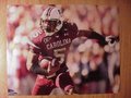 Picture: Stephon Gilmore South Carolina Gamecocks original 16 X 20 photo/poster.