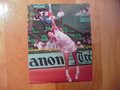 Picture: Jimmy Connors original 16 X 20 tennis photo/poster.