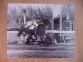 Picture: Citation original 16 X 20 horse racing poster/photo.