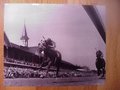 Picture: Secretariat original 16 X 20 horse racing poster/photo.