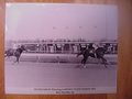 Picture: Secretariat original 16 X 20 horse racing poster/photo.
