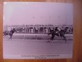 Picture: Secretariat original 11 X 14 horse racing photo.