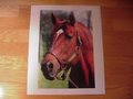 Picture: Secretariat original 16 X 20 horse racing photo/poster.