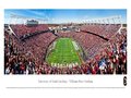 Picture: South Carolina Gamecocks Williams-Brice Stadium Panoramic poster/print.