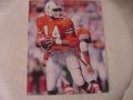 Picture: Vinny Testaverde Miami Hurricanes original 8 X 10 photo.