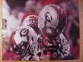 Picture: Georgia Bulldogs original 8 X 10 photo.