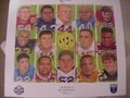 Picture: This is a 2012 "Legends of SEC Football" poster. 13 1/2 X 16 poster is in excellent shape with no pin holes or tears. Never used and just like new. One player from each school in the Southeastern Conference is on this poster. This is the first year a player from Texas A & M-Heisman Trophy Winner John David Crow-and Missouri-Johnny Roland- are on the poster. Others on the poster include David Greene of the Georgia Bulldogs, Glynn Griffing of the Ole Miss Rebels, Steve Tannen of the Florida Gators, Walt Harris of the Mississippi State Bulldogs, Paul Crane of the Alabama Crimson Tide, Peerless Price of the Tennessee Volunteers, Pat Summerall of the Arkansas Razorbacks, Ko Simpson of the South Carolina Gamecocks, James Owens of the Auburn Tigers, Hunter Hellenmeyer of the Vanderbilt Commodores, Sonny Collins of the Kentucky Wildcats and Kevin Mawae of the LSU Tigers.