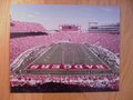 Picture: Camp Randall Stadium original 8 X 10 photo. "The Camp" is home to the Wisconsin Badgers.