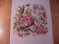 Picture: Georgia Bulldogs 2004 original Jack Davis art print fits a standard frame.