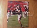 Picture: Aaron Murray Georgia Bulldogs 16 X 20 poster.