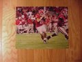 Picture: Aaron Murray leads the Georgia Bulldogs original 20 X 30 poster.