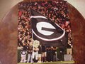 Picture: Georgia Bulldogs Blackout original 8 X 10 photo with Hairy Dawg waving a black UGA flag.