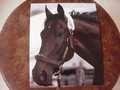 Picture: This is an original Street Sense horse racing 8 X 10 photo in excellent shape with no pin holes or tears. Never used and just like new! This is a not a copy but an original and clear photo. This great horse won The Kentucky Derby in 2007 when it darted from second to last to first!