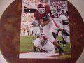 Picture: Peyton Hillis Arkansas Razorbacks original 16 X 20 poster with great clearness and quality.