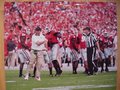 Picture: Jeremy Pruitt Georgia Bulldogs original 11 X 14 photo against Clemson. We are the copyright holders of this image and the quality and clarity is fantastic.