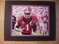 Picture: Sony Michel Georgia Bulldogs original 8 X 10 photo against Clemson professionally double matted in team colors to 11 X 14. We are the copyright holders of this image and the quality and clarity is fantastic.