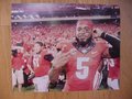 Picture: Damian Swann and David Andrews Georgia Bulldogs original 20 X 30 poster against Clemson. We are the copyright holders of this image and the quality and clarity is fantastic.