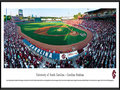 Picture: South Carolina Gamecocks Carolina Stadium panoramic print professionally framed. This panorama, taken by James Blakeway, captures the University of South Carolina baseball team playing for a win on their home field at Carolina Stadium. Unveiled in 2009 and located adjacent to the Congaree River, Carolina Stadium is considered one of the top college baseball stadiums in the United States, with a seating capacity for over 9,000 fans. The Gamecocks are one of the best teams in college baseball with an impressive record including regular NCAA Tournament participation and College World Series (CWS) appearances. In 2010, the Gamecocks became the first team to win six straight games in a World Series and the third team to win the CWS after losing its first game of the series.