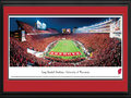 Picture: Wisconsin Badgers Camp Randall Stadium 13 X 40 panoramic print professionally double matted in team colors and framed to 18 X 44. This panoramic photograph of the University of Wisconsin Badgers football team playing on their home field at Camp Randall Stadium was taken by Nathan Haler. The first Badger football team took the field in 1889 and upon formation of the Big Ten conference in 1896, they became the first-ever conference champion. The team's nickname originates in Wisconsin's early history, when miners came to the state looking for minerals, but without shelter in the winter they had to "live like badgers" in tunnels burrowed into hillsides. As a result, the territory was dubbed the "Badger State," from which the team took its name. The Badgers' success includes numerous conference championships and Rose Bowl victories.