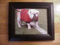 Picture: UGA IX Georgia Bulldogs original 8 X 10 photo professionally framed in black wood to 11 X 14.