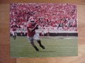 Picture: Nick Chubb Georgia Bulldogs original 20 X 30 poster.