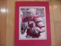 Picture: A.J. Hawk Ohio State Buckeyes original 8 X 10 glossy photo double matted in team colors to 11 X 14 so that it fits a standard frame..
