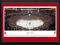 Picture: This 13.5 X 40 panorama has been professionally double matted in Arizona Coyotes team colors and framed to 18 X 44. It captures the Arizona Coyotes playing to a sold out crowd of more than 17,125 fans on their home ice at Gila River Arena in Glendale, Arizona. In 1996, the club moved to the Valley and established themselves as the Phoenix Coyotes. In December 2003, the Coyotes moved from downtown Phoenix to their newly completed arena in Glendale and also updated their National Hockey League logo and uniforms. In 2012, the Coyotes won the Pacific Division and reached the Western Conference Final for the first time in franchise history.