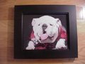 Picture: UGA X Georgia Bulldogs original and high quality 11 X 14 photo professionally framed in very nice black wood to 14 1/2 X 17 1/2.