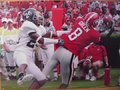 Picture: AJ Green Georgia Bulldogs 12 X 18 panoramic print.