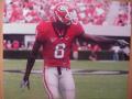 Picture: A.J. Green Georgia Bulldogs horizontal original 11 X 14 glossy photo.