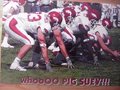 Picture: Arkansas Razorbacks "Whooo Pig Suey!" panoramic print.