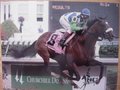 Picture: Barbaro wins the Kentucky Derby horse racing photo.