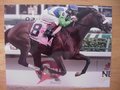 Picture: Barbaro wins the Kentucky Derby horse racing photo.