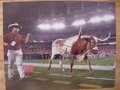 Picture: Bevo the Texas Longhorns Mascot 12 X 18 panoramic print.