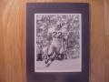 Picture: John Cappelletti Penn State Nittany Lions 8 X 10 photo professionally double matted to 11 X 14 so that it fits a standard frame.