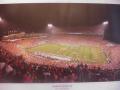 Picture: Clemson Tigers 2007 Death Valley Stadium print showing Clemson's win over Florida State in the ninth annual Bowden Bowl entitled "Sea of Solid Orange."