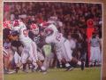 Picture: Terrence Cody Alabama Crimson Tide original 16 X 20 photo print.