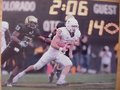 Picture: Colt McCoy of the Texas Longhorns against Colorado 12 X 18 panoramic print.