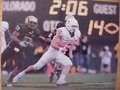 Picture: Colt McCoy of the Texas Longhorns vs. Colorado 8 X 10 photo.