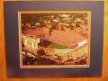 Picture: Florida Gators Ben Hill Griffin Stadium original 8 X 10 photo professionally double matted to 11 X 14 to fit a standard frame.