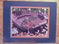 Picture: Florida Gators "The Swamp" original 8 X 10 photo professionally double matted to 11 X 14 to fit a standard frame. 