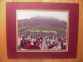 Picture: Florida State Seminoles Doak Walker Stadium of the Stadium in daytime original 8 X 10 photo professionally double matted in Garnet and Gold to 11 X 14 so that it fits a standard frame.