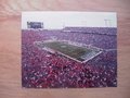 Picture: Georgia Bulldogs and Florida Gators Jacksonville Gator Bowl Stadium photo.