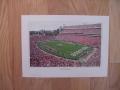 Picture: Georgia Bulldogs Sanford Stadium Print.