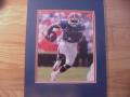 Picture: Percy Harvin Florida Gators 8 X 10 photo double matted to 11 X 14 so that it fits a standard frame.