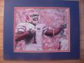 Picture: Percy Harvin Florida Gators 8 X 10 photo double matted in team colors to 11 X 14 so that it fits a standard frame.