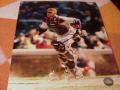 Picture: Javy Lopez Atlanta Braves original 11 X 14 glossy photo.