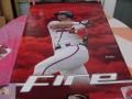 Picture: Javy Lopez Atlanta Braves factory sealed original poster from 1998.