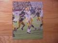 Picture: Jordan Jefferson LSU Tigers original 8 X 10 photo.