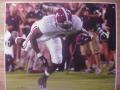 Picture: Julio Jones Alabama Crimson Tide original 16 X 20 photo print.